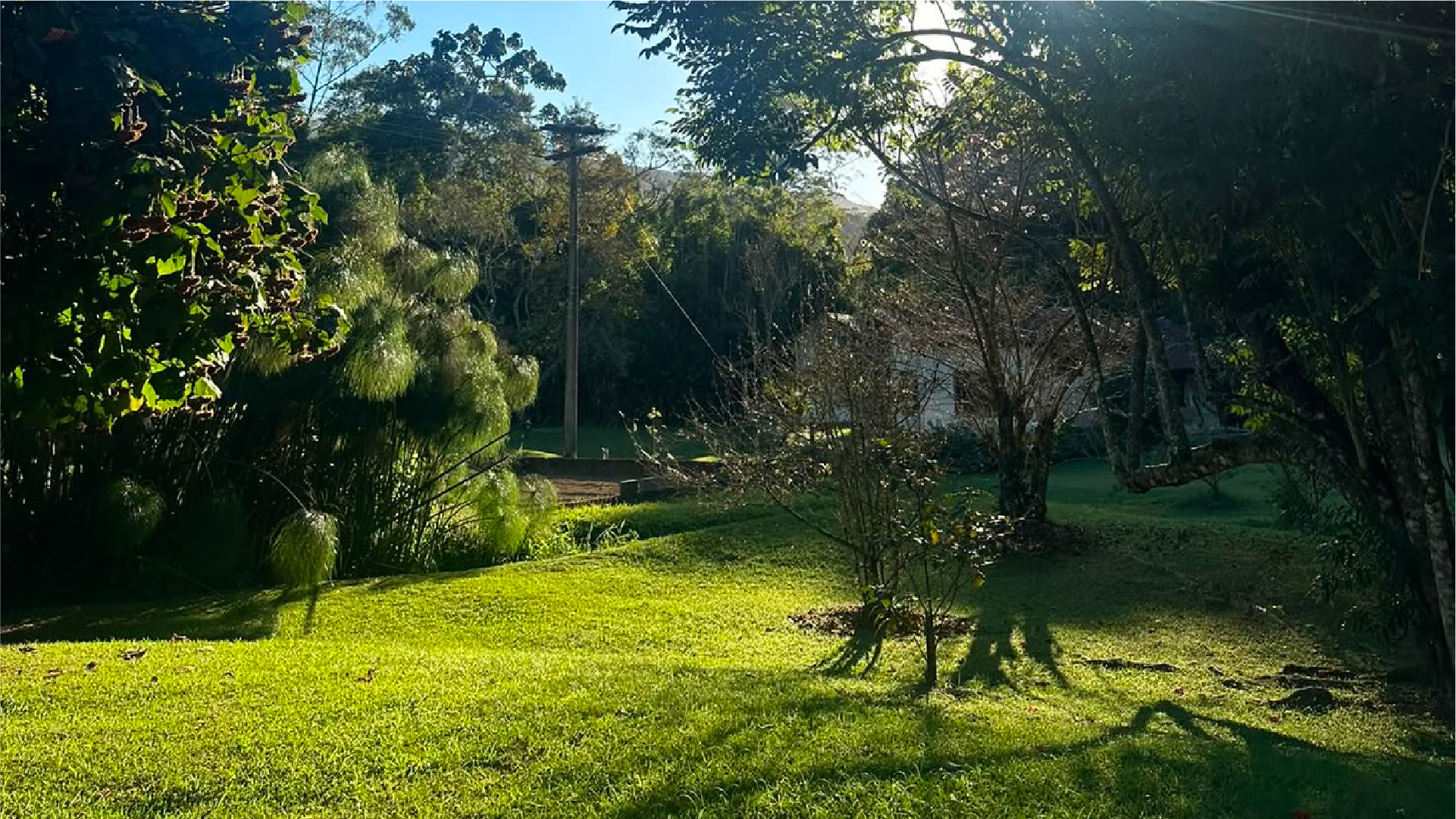 Natureza no Ashram Vrajabhumi