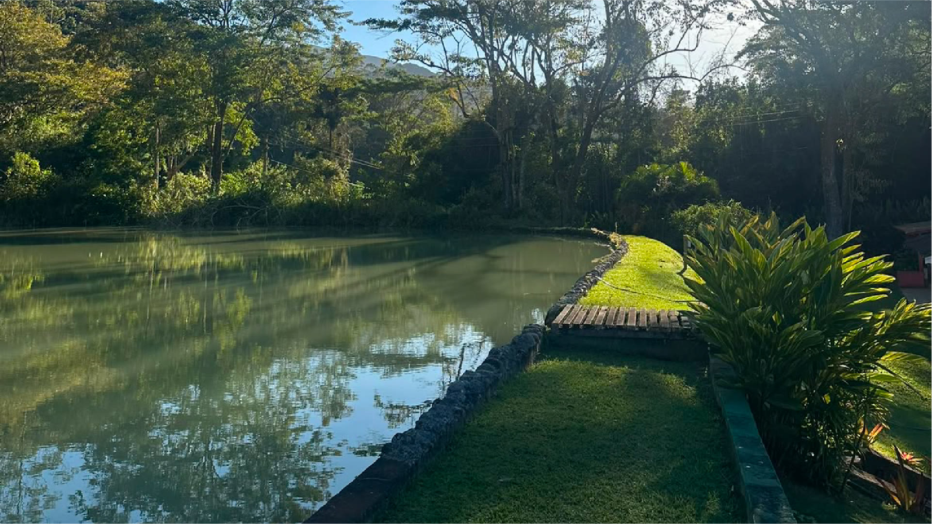 Natureza no Ashram Vrajabhumi